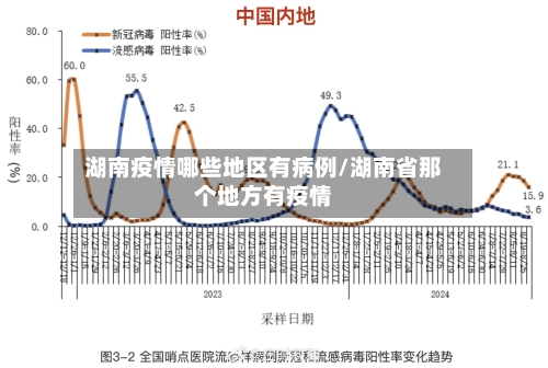 湖南疫情哪些地区有病例/湖南省那个地方有疫情