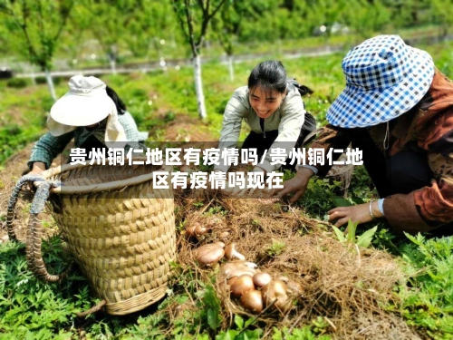 贵州铜仁地区有疫情吗/贵州铜仁地区有疫情吗现在-第3张图片