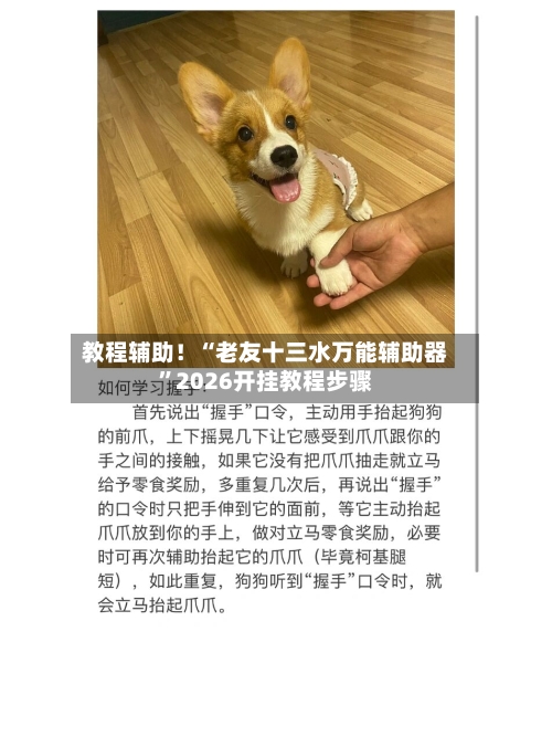 教程辅助！“老友十三水万能辅助器”2026开挂教程步骤-第2张图片