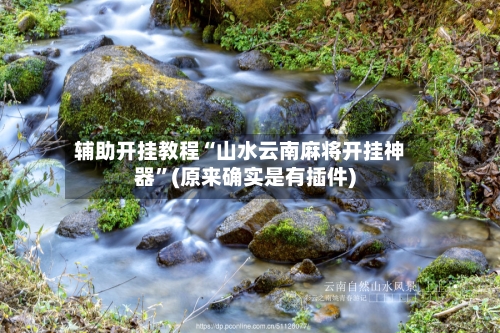 辅助开挂教程“山水云南麻将开挂神器”(原来确实是有插件)-第2张图片