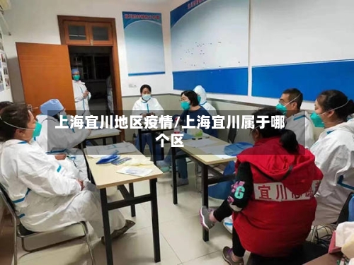 上海宜川地区疫情/上海宜川属于哪个区
