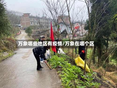 万象哪些地区有疫情/万象在哪个区-第2张图片