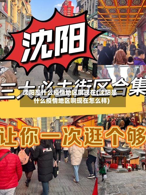 沈阳是什么疫情地区啊现在(沈阳是什么疫情地区啊现在怎么样)