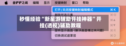 秒懂经验“新星游辅助开挂神器”开挂(透视)辅助教程-第3张图片
