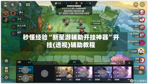 秒懂经验“新星游辅助开挂神器	”开挂(透视)辅助教程-第2张图片