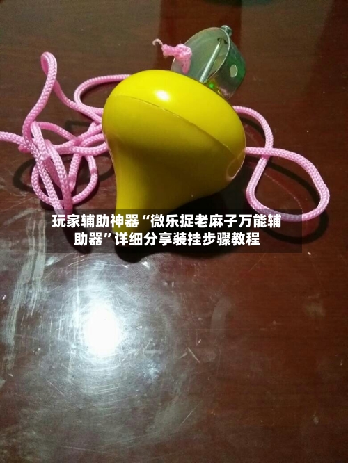 玩家辅助神器“微乐捉老麻子万能辅助器”详细分享装挂步骤教程-第3张图片
