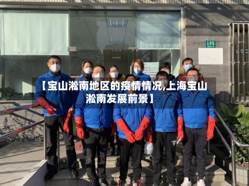 【宝山淞南地区的疫情情况,上海宝山淞南发展前景】-第2张图片