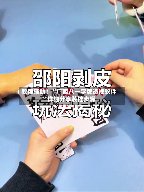 教程辅助!“广西八一字牌透视软件”详细分享装挂步骤