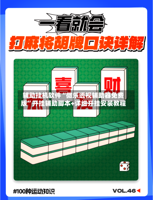 辅助挂机软件“微乐透视辅助器免费版”开挂辅助脚本+详细开挂安装教程-第3张图片