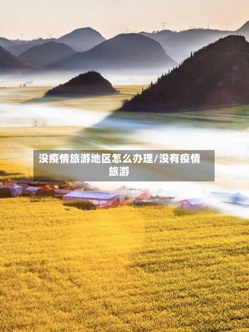 没疫情旅游地区怎么办理/没有疫情旅游