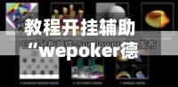 教程开挂辅助“wepoker德州 一键透视购买	”开挂(透视)辅助教程-第2张图片