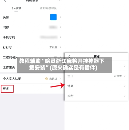 教程辅助“哈灵浙江麻将开挂神器下载安装	”(原来确实是有插件)-第2张图片