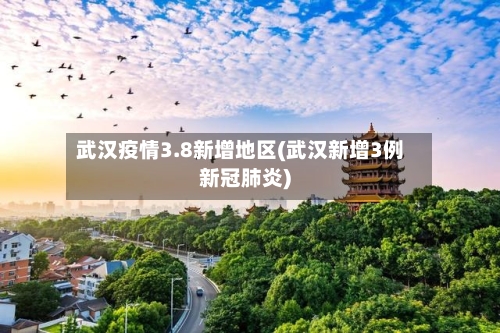 武汉疫情3.8新增地区(武汉新增3例新冠肺炎)
