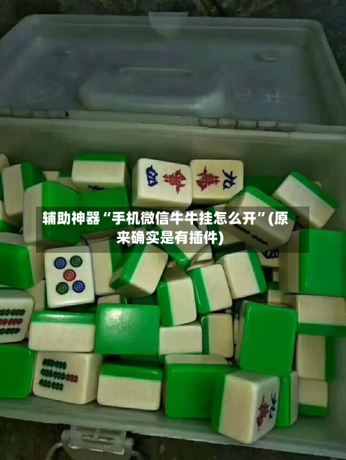 辅助神器“手机微信牛牛挂怎么开”(原来确实是有插件)-第3张图片