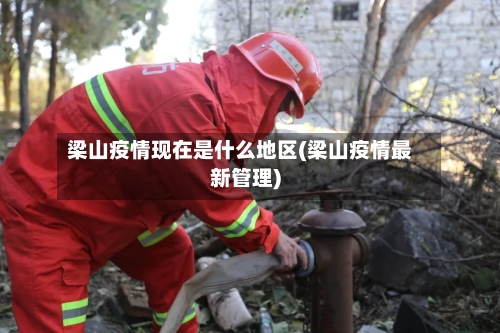 梁山疫情现在是什么地区(梁山疫情最新管理)