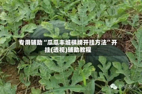 专用辅助“瓜瓜丰城棋牌开挂方法	”开挂(透视)辅助教程-第2张图片