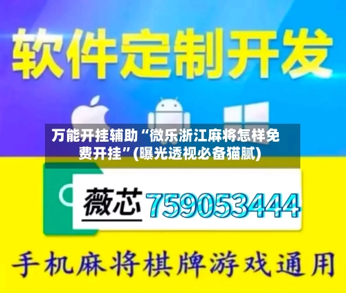 万能开挂辅助“微乐浙江麻将怎样免费开挂”(曝光透视必备猫腻)