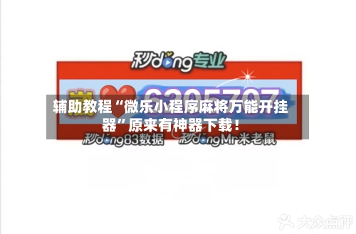 辅助教程“微乐小程序麻将万能开挂器”原来有神器下载！-第3张图片