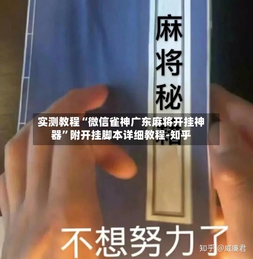 实测教程“微信雀神广东麻将开挂神器	”附开挂脚本详细教程-知乎-第2张图片