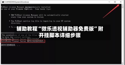 辅助教程“微乐透视辅助器免费版”附开挂脚本详细步骤