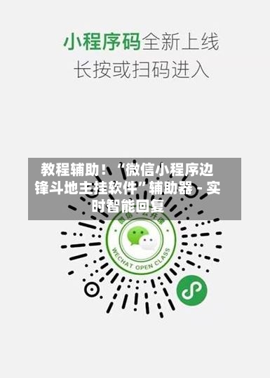 教程辅助！“微信小程序边锋斗地主挂软件”辅助器 - 实时智能回复-第2张图片