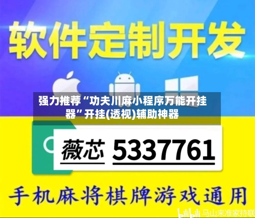 强力推荐“功夫川麻小程序万能开挂器	”开挂(透视)辅助神器-第2张图片