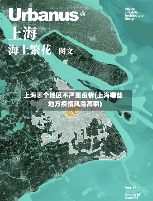 上海哪个地区不严重疫情(上海哪些地方疫情风险高啊)-第2张图片