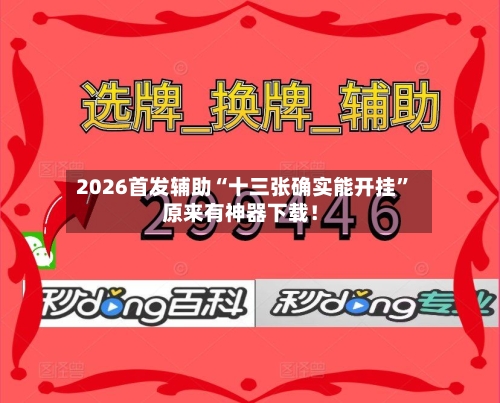 2026首发辅助“十三张确实能开挂”原来有神器下载！-第3张图片