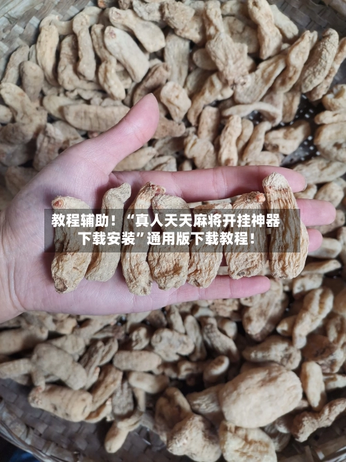 教程辅助！“真人天天麻将开挂神器下载安装”通用版下载教程！-第2张图片