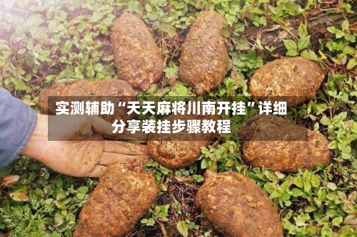 实测辅助“天天麻将川南开挂”详细分享装挂步骤教程-第2张图片