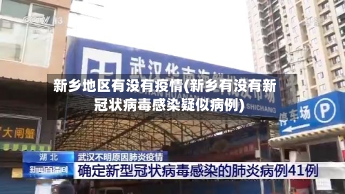 新乡地区有没有疫情(新乡有没有新冠状病毒感染疑似病例)-第2张图片