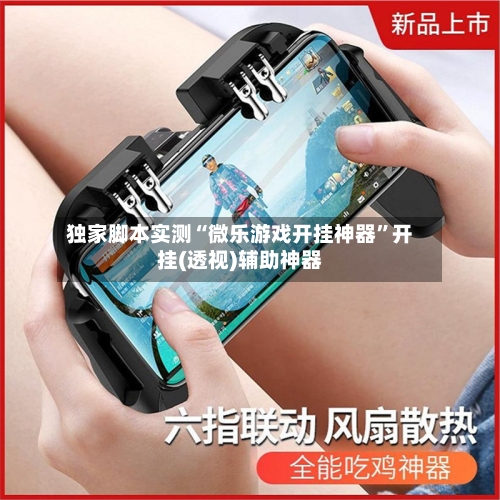 独家脚本实测“微乐游戏开挂神器”开挂(透视)辅助神器-第2张图片