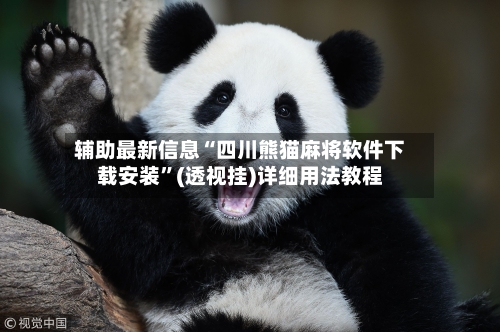 辅助最新信息“四川熊猫麻将软件下载安装”(透视挂)详细用法教程-第2张图片