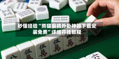 秒懂经验“熊猫麻将外卦神器下载安装免费	”详细开挂教程-第2张图片