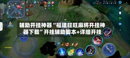 辅助开挂神器“福建旺旺麻将开挂神器下载”开挂辅助脚本+详细开挂-第3张图片