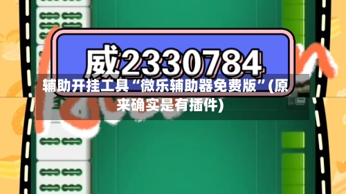 辅助开挂工具“微乐辅助器免费版	”(原来确实是有插件)-第2张图片