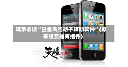 玩家必读“白金岛跑胡子辅助软件	”(原来确实是有插件)-第3张图片