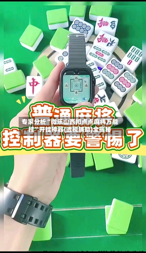 专家分析“微乐山西扣点点麻将万能挂”开挂神器{透视辅助}全揭秘-第2张图片