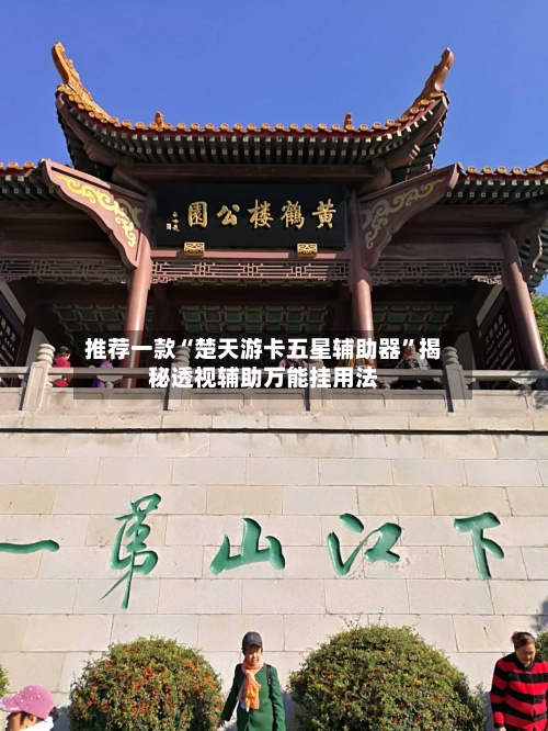 推荐一款“楚天游卡五星辅助器	”揭秘透视辅助万能挂用法-第2张图片