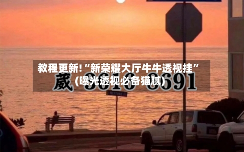 教程更新!“新荣耀大厅牛牛透视挂”(曝光透视必备猫腻)-第2张图片