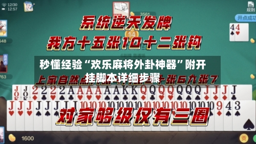 秒懂经验“欢乐麻将外卦神器	”附开挂脚本详细步骤-第2张图片