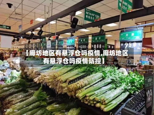 【廊坊地区有悬浮仓吗疫情,廊坊地区有悬浮仓吗疫情防控】-第3张图片