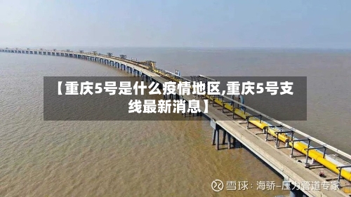 【重庆5号是什么疫情地区,重庆5号支线最新消息】-第3张图片