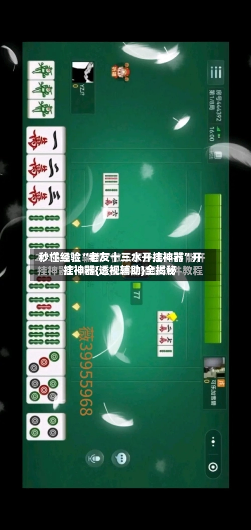 秒懂经验“老友十三水开挂神器”开挂神器{透视辅助}全揭秘-第2张图片