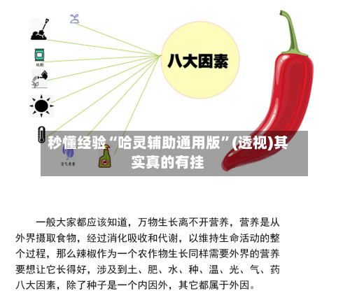 秒懂经验“哈灵辅助通用版”(透视)其实真的有挂-第2张图片