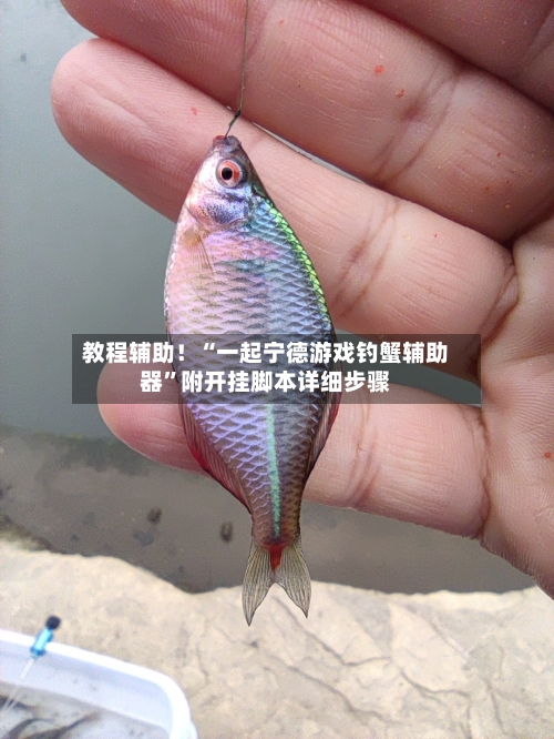 教程辅助！“一起宁德游戏钓蟹辅助器	”附开挂脚本详细步骤-第2张图片