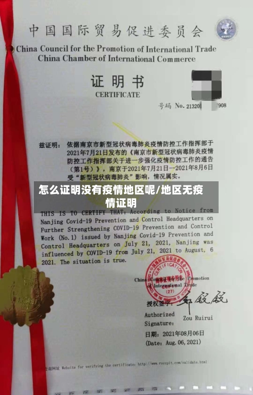 怎么证明没有疫情地区呢/地区无疫情证明-第2张图片