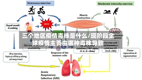 三个地区疫情毒株是什么/现阶段全球疫情主要由哪种毒株导致-第2张图片
