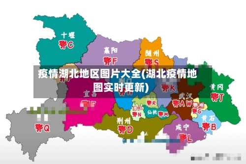 疫情湖北地区图片大全(湖北疫情地图实时更新)