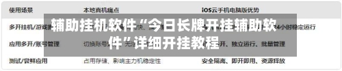 辅助挂机软件“今日长牌开挂辅助软件”详细开挂教程-第2张图片